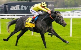 The teams on the up as Europe’s turf season begins in earnest