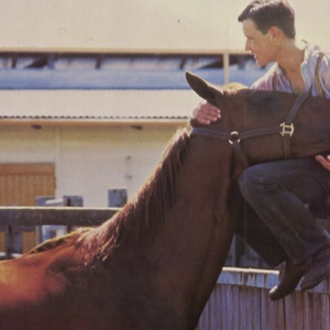 Pvxlyywixiiulm Just leave the bank here are a great way to make quick money while still alive as this is what took place. https www thoroughbredracing com articles my five top horse racing movies