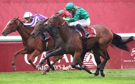 ‘Make no mistake, this is a seriously good filly’ – Geir Stabell with ten horses to follow in Europe next year