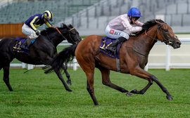 Goodwood Group-race mission for Royal Ascot scorer Onassis