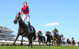 Shock move as Melbourne Cup heroine Verry Elleegant is switched to French trainer Francis Graffard