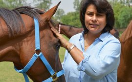 Usha Stud’s Ameeta Mehra