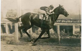 Man o’ War’s remarkable success at stud