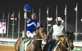 Plundering desert riches: the incredible journey of Saudi Cup hero Senor Buscador