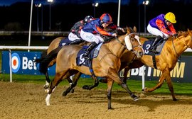 ‘Not all my evenings in the pub have been so rewarding’ – spotlight on Destinado, who won eight races in 2024