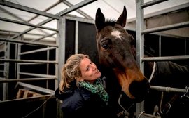 ‘The Russians don’t seem to like anything that lives in Ukraine’ – London hospitality exec helps equine rescue effort