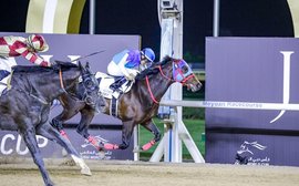 What’s been happening: Kentucky Derby latest, Thorpedo Anna, Forever Young, Frankie Dettori, Hayley Turner, Grand National and more …