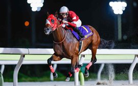 ‘We have a strong desire for revenge’ – Forever Young set to spearhead big Japanese squad for Breeders’ Cup