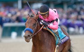 Kentucky Derby Prep School: is this a Bob Baffert benefit?