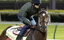 The Preakness conundrum: It may pay to keep this colt in mind 