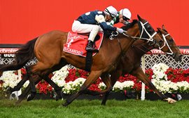 World rankings: Relief as superstar mare Via Sistina claims 11th Group 1 success in Cox Plate – but only just