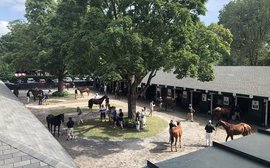 It’s like a coming-out party: Behind the scenes at the Fasig-Tipton yearling sale