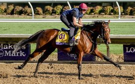 ‘I just didn’t have him prepared to come out quick enough’ – Aidan O’Brien blames himself for City Of Troy flop