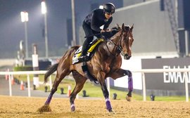 Dubai newsflash: Japanese Derby winner Do Deuce lame and scratched from Dubai Turf