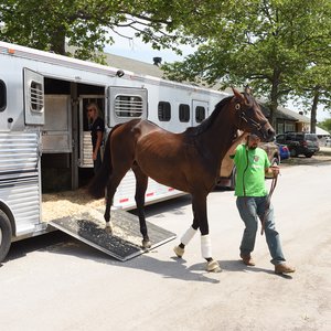 The Belmont too far for the modern racehorse? Don’t you believe it