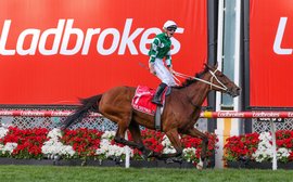 Rankings update: Aussie star Via Sistina up to world #4 after stunning Cox Plate display