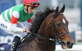 What’s been happening in the racing industry around the world