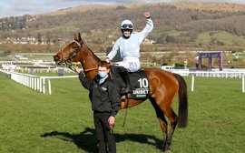 Honeysuckle’s historic Champion Hurdle win is something to celebrate for British breeders