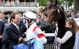 Melbourne Cup favourite: why James Ferguson is dreaming of Flemington triumph with Deauville Legend