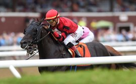 A life after racing: Meydan hero Extravagant Kid helps guide horses through retraining