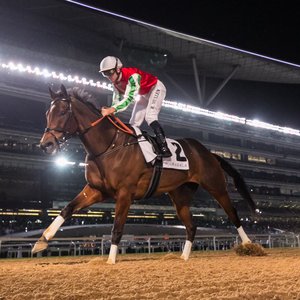 Why North America leads the world – for this week at least ...