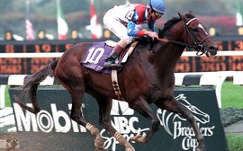 Cigar: ‘Grizzled veterans said they hadn’t seen a horse followed with such passion since Secretariat – and I believed them’