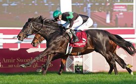 The ambitions of ‘Qatar’s Royal Ascot’