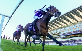 Horses who could be key for Aidan O’Brien next season