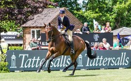 A life after racing: former jumps stars set to appear in Cheltenham retraining parade