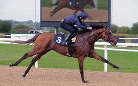 The big Breeders’ Cup question: can City Of Troy win the Classic on the dirt?