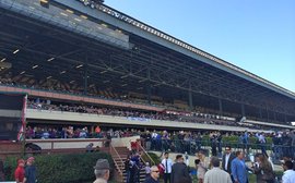 The day poor, bleak December truly came to life at Hollywood Park