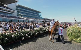 Quiz: test your knowledge of the Melbourne Cup