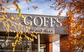 Sale Preview: Goffs Breeze-Up Sale