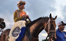 Global Rankings Weekly Awards: Skipping up the table