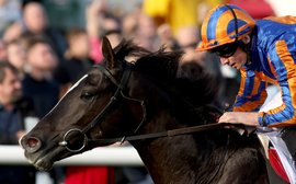 Triple Crown dreams: Aidan O’Brien heaps praise on Classic favourite Auguste Rodin