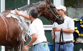 The battle to right the wrongs suffered by racing’s backstretch workers