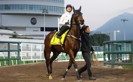 ‘The Ka Ying Rising story is really only just beginning’ – JA McGrath on sprint phenomenon who climbed the Everest