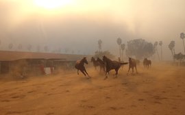 Still bearing the scars, still struggling to understand … that’s life one year after the horror of San Luis Rey Downs