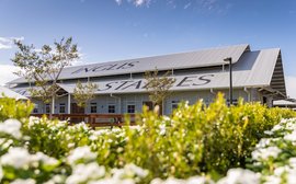 Sale Preview: Inglis Classic Yearling Sale