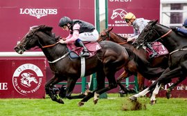 Why things are really buzzing again at the National Stud