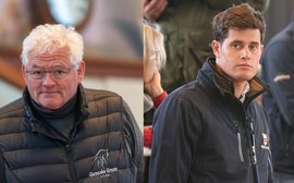 Two British studs add stallions to their books