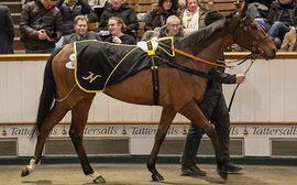 What’s been happening: Paco Lopez whip controversy, new dates at Saratoga, 4.8m sale at Tattersalls and more …