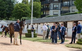 New wave of French sires helps make Arqana’s Yearling Sale the place to be 