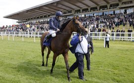 Crunch time for City Of Troy as Derby winner takes on all-comers at York – JA McGrath on the G1 clash of the season