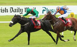 17 ‘win and you’re in’ races now included as new Irish Derby initiatives are announced