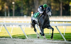 Resolute Tapwrit may have what it takes to make the Kentucky Derby frame