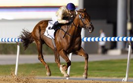 Dubai World Cup favourite Algiers continues rankings rise with emphatic Meydan triumph