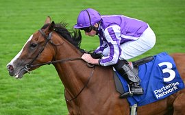 What’s been happening: Arc latest, Breeders’ Cup news from Japan, Book’em Danno out and more …
