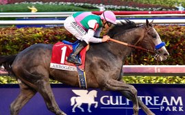 Pegasus World Cup 2018: what’s the latest state of play?