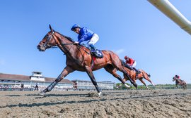 ‘He ticks a lot of boxes’ – Charlie Appleby on Epsom Derby favourite Military Order